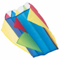 kite in a bag